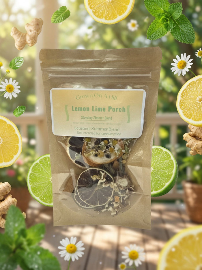 Lemon Lime Porch Simmer Pot Blend | Home Fragrance