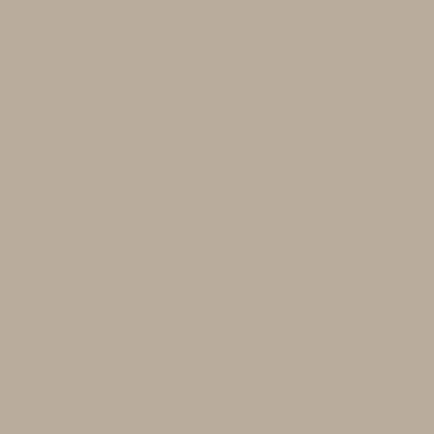 Shop CC-470 Rocky Road by Benjamin Moore at Catalina Paint Stores. We are your local Los Angeles Benjmain Moore dealer.