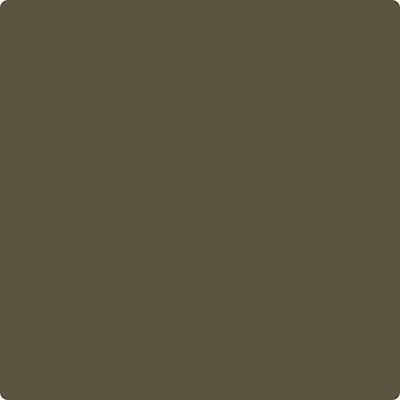 Shop CC-662 Night Owl by Benjamin Moore at Catalina Paint Stores. We are your local Los Angeles Benjmain Moore dealer.