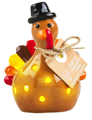 Mud Pie - Light-Up Sitter - Turkey - Findlay Rowe Designs