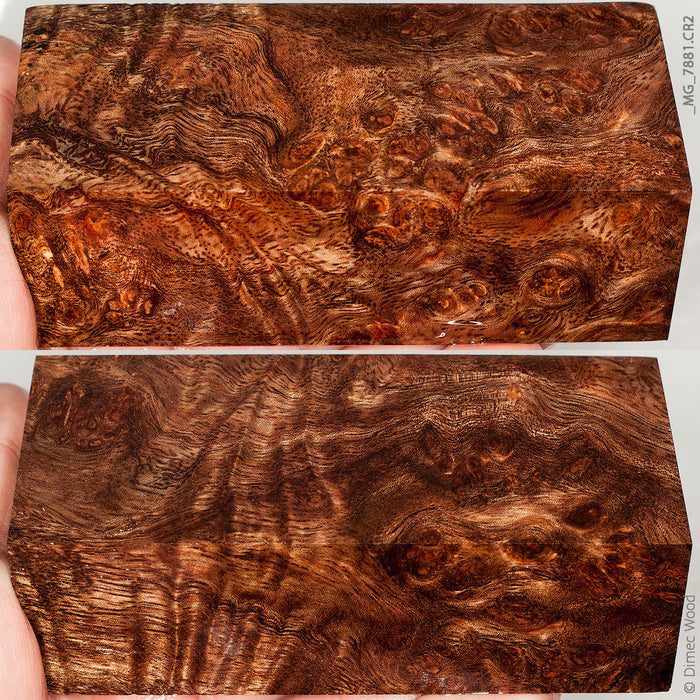 Stabilized wood white siris burl block